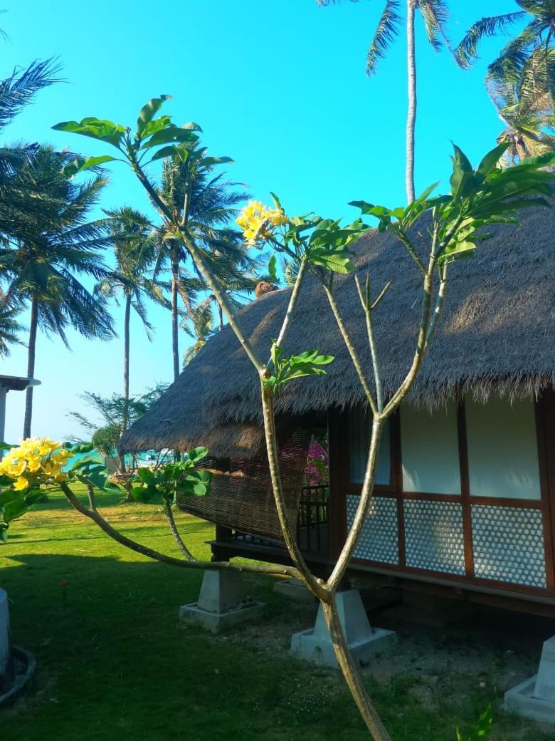 Ary'S Lagoon Bungalow & Hotel Karimunjawa Exteriér fotografie